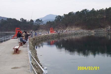 바닷물이 드나드는 바다낚시터 입장료는 무료이다. 잡은 고기는 무게로 계산하면 된다. 